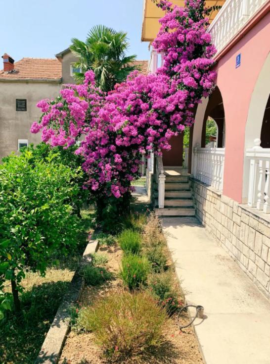 Peaceful, Cosy Tivat Guesthouse المظهر الخارجي الصورة
